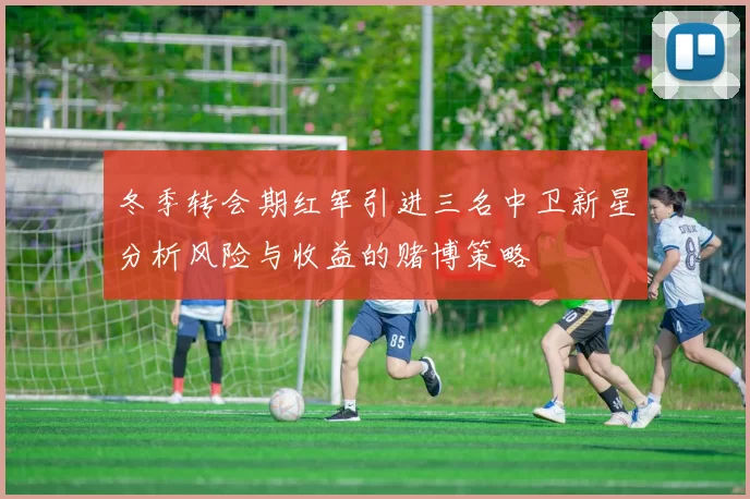 冬季转会期红军引进三名中卫新星分析风险与收益的赌博策略