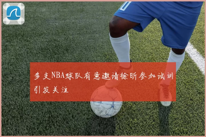 多支NBA球队有意邀请徐昕参加试训引发关注