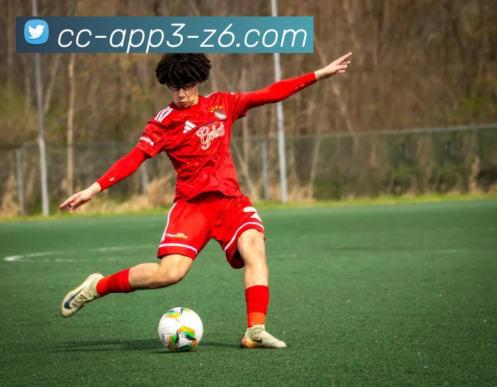 尊龙娱乐APP 封面图